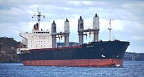 NEWSUN LUCKY — Bulk Carrier, PANAMA flag, built 2010