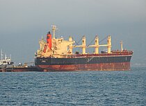 ROYAL CHIBA — Bulk Carrier, Panama flag, built 2014