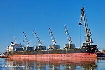 ZHONG AN MEN — Bulk Carrier, Liberia flag, built 2010