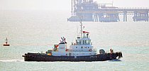 DOLPHIN NO. 14 — Tug, INDIAN flag, built 2010