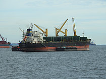 ELINA B. — Bulk Carrier, Malta flag, built 2011