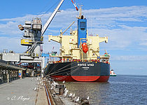 RISING WIND — Bulk Carrier, PANAMA flag, built 2014