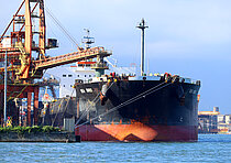 SEA BIRD — Bulk Carrier, Marshall Islands flag, built 2011