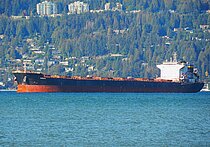 RARAKA — Bulk Carrier, Malta flag, built 2012