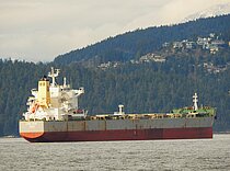 LYRIC STAR — Bulk Carrier, BAHAMAS flag, built 2011