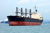 PHOENIX NEREID — Bulk Carrier, PANAMA flag, built 2011