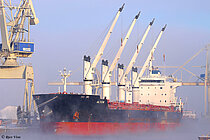 ALYCIA — Bulk Carrier, Republic of Malta flag, built 2012