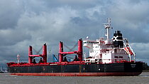 NSM ARKADIA