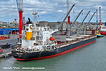 NAVI STAR — Bulk Carrier, PANAMA flag, built 2011