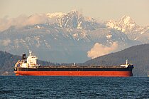 ONE ENERGY — Bulk Carrier, CYPRUS flag, built 2011