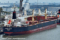 VENUS HALO — Bulk Carrier, PANAMA flag, built 2012