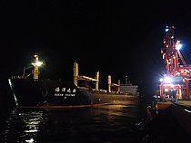 OCEAN FEATHER — Bulk Carrier, Singapore flag, built 2011
