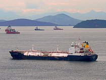 DARCY RIBEIRO — Gas Tanker, BRAZIL flag, built 2016