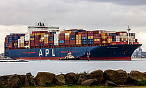 APL SAVANNAH