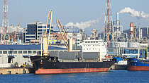 JOYFUL FORTUNE — General Cargo Ship, Hong Kong, China flag, built 2011