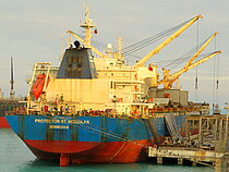BLUE TIGER — Bulk Carrier, Liberia flag, built 2011