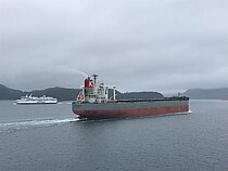 CAPE RAINBOW — Bulk Carrier, PANAMA flag, built 2012
