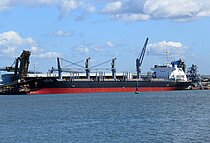 DANCEFLORA SW — Bulk Carrier, PANAMA flag, built 2012
