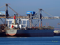 CAPE SUNRISE — Bulk Carrier, Panama flag, built 2012