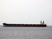FLAG THENIA — Bulk Carrier, Republic of Malta flag, built 2013