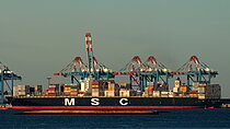 MSC LONDON — Container Ship, PANAMA flag, built 2014