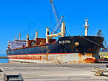 BLUE FIN — Bulk Carrier, MALTA flag, built 2011