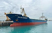 DAI TAY DUONG 36 — General Cargo Ship, VIETNAM flag, built 2011