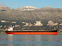 MINAMI — Bulk Carrier, Panama flag, built 2013