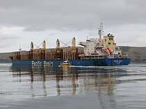 JERICHO BEACH — Bulk Carrier, HONG KONG flag, built 2013