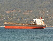 CAPE LILY — Bulk Carrier, SINGAPORE flag, built 2012
