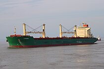 CITRIODORA