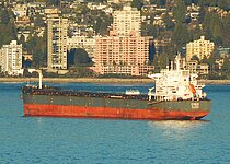 OCEAN ALINA — Bulk Carrier, Bahamas flag, built 2012
