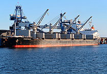 DIANTHUS — Bulk Carrier, PANAMA flag, built 2012