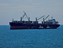 XIN HAI TONG 59 — Bulk Carrier, MARSHALL ISLANDS flag, built 2011
