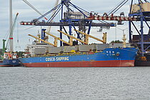SHI ZI FENG — Bulk Carrier, China flag, built 2011