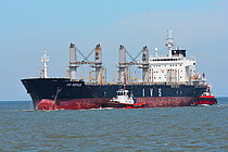 PRINCESS SHAIMAA — Bulk Carrier, MALTA flag, built 2013