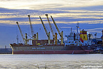 WHITE DEFENDER — Bulk Carrier, Hong Kong China flag, built 2012