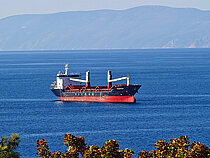YM AMAZON — General Cargo Ship, Malta flag, built 2013