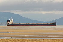GLBS GIGI — Bulk Carrier, MARSHALL ISLANDS flag, built 2014