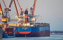 ELLINA — Bulk Carrier, MALTA flag, built 2014