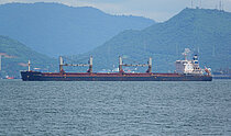 SANDPIPER — Bulk Carrier, Cyprus flag, built 2012