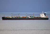 OCEAN BEGONIA — Bulk Carrier, LIBERIA flag, built 2012