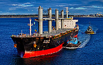 CHANGYANG JINHUA — Bulk Carrier, China flag, built 2011