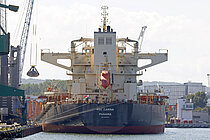 MSC CARINA — Bulk Carrier, Panama flag, built 2013
