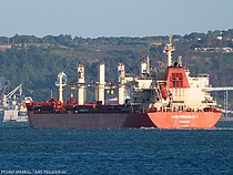 SEA DHYANA — Bulk Carrier, SINGAPORE flag, built 2012