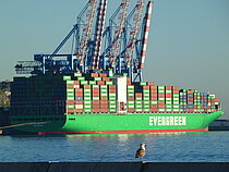 EVER LOVELY — Container Carrier, SINGAPORE flag, built 2015