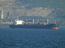 MEDROSE — Bulk Carrier, Marshall Islands flag, built 2013