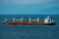 FLAG GANGOS — Bulk Carrier, Malta flag, built 2013
