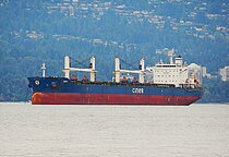 SIIRT — Bulk Carrier, MALTA flag, built 2013