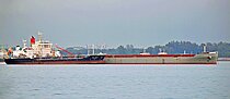 LEGATO II — Bulk Carrier, PANAMA flag, built 2013